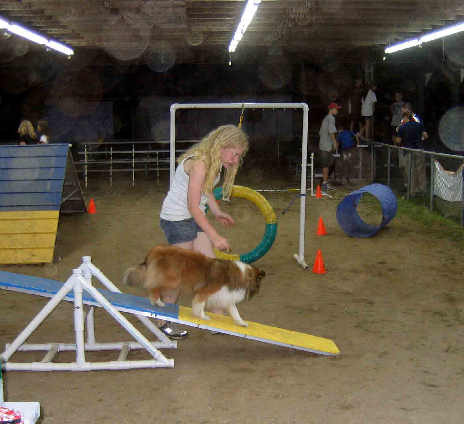 4 h dog agility program  2007