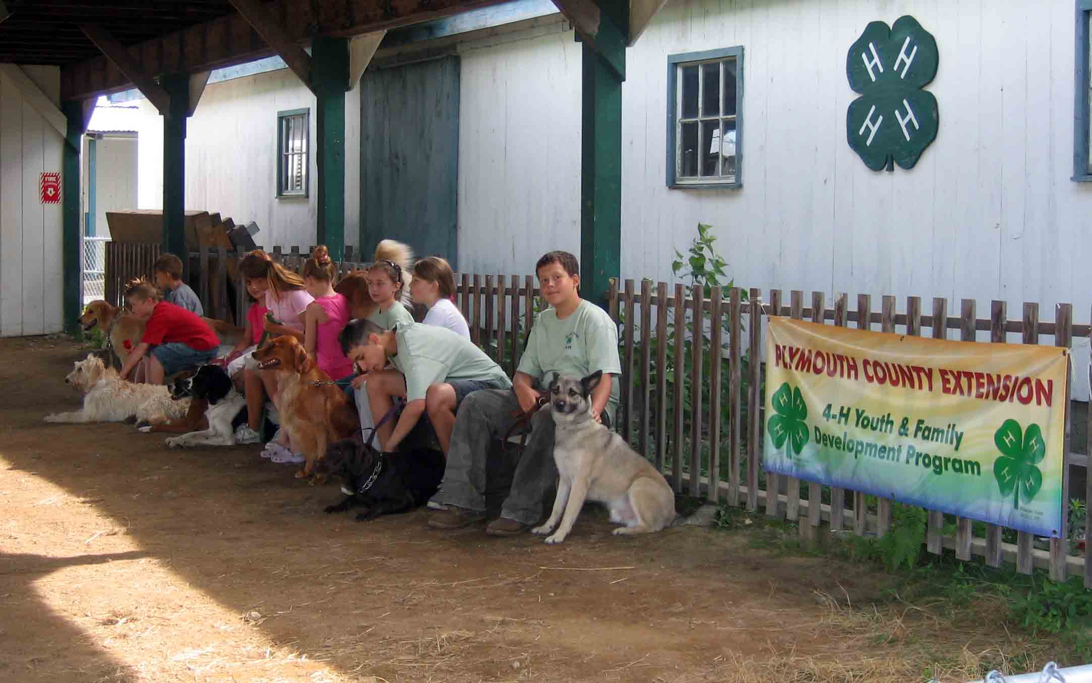 4 h dog obedience program